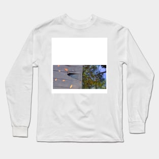 celestun ria wetland ecopark ecopop landscape photo in yucatan 1 Long Sleeve T-Shirt